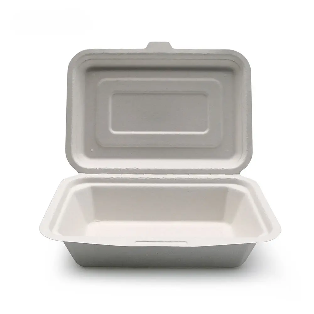 Biodegradable Lunch Boxes: Redefining Sustainable Dining Experience (2025 Edition)