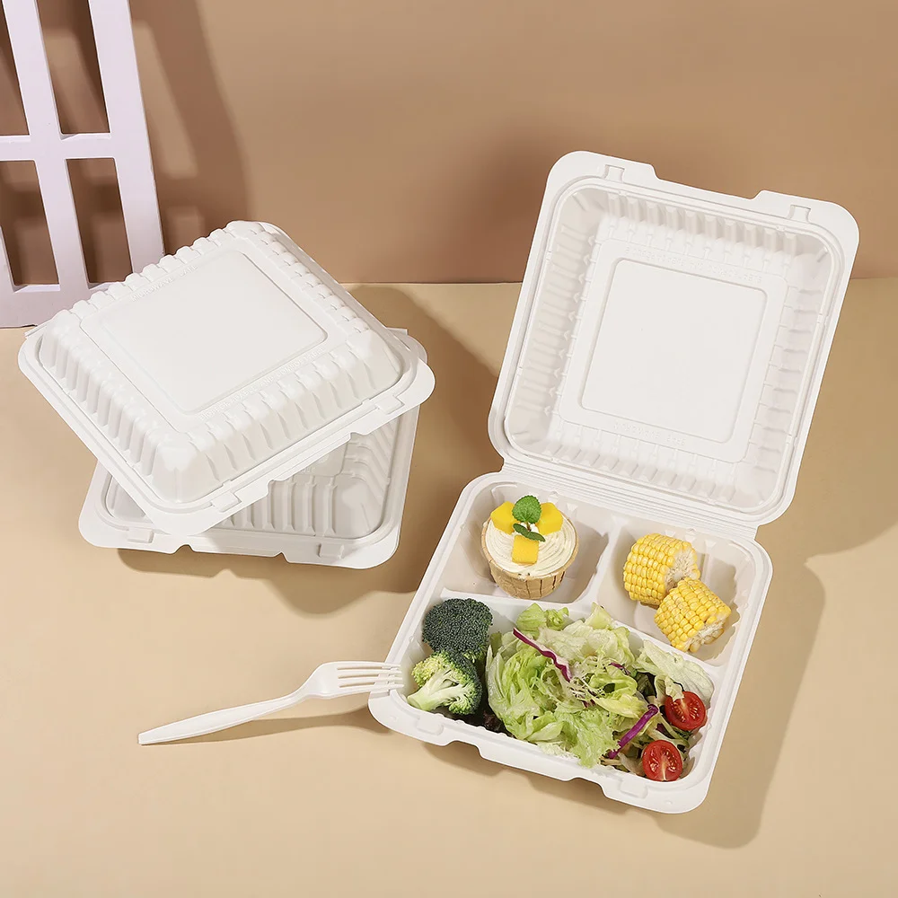 Biodegradable Lunch Boxes: Redefining Sustainable Dining Experience (2025 Edition)