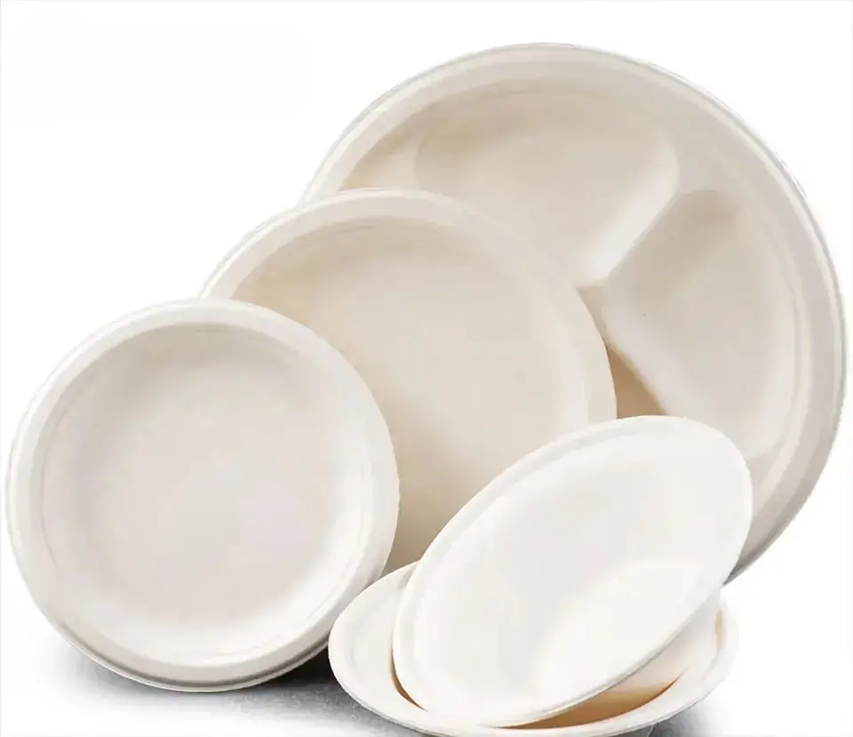 Disposable biodegradable lunch boxes in 2025: An eco-friendly choice for the catering industry to expand overseas markets.
