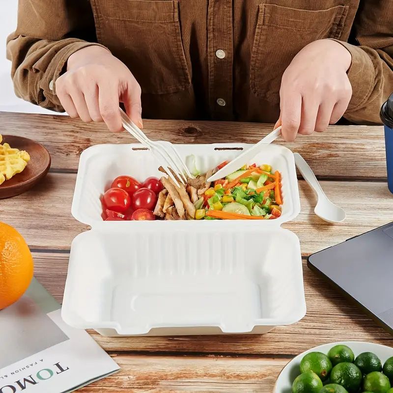 Disposable biodegradable lunch boxes in 2025: An eco-friendly choice for the catering industry to expand overseas markets.