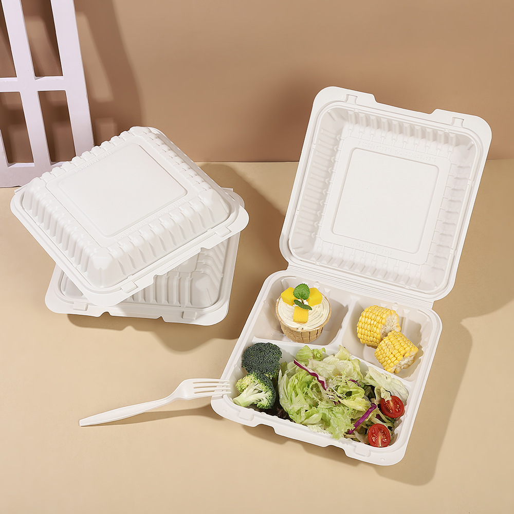 Biodegradable Lunch Boxes: Redefining Sustainable Dining Experience (2025 Edition)