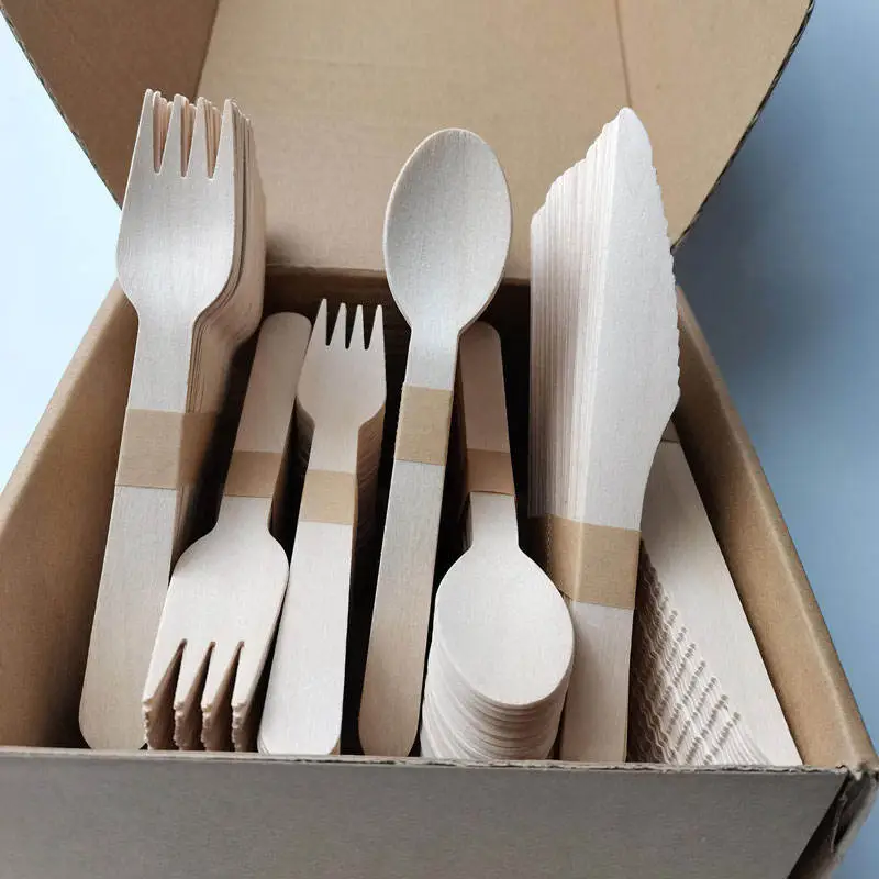 Disposable Tableware Customization: What Materials Are Spoons Made From?
