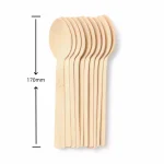 Disposable Eco Bamboo Spoon